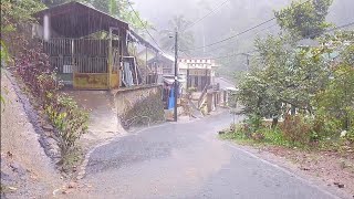 Super Extreme Heavy Rain Ambience in Village  HDR FHD 60 Fps [upl. by Acirrehs]