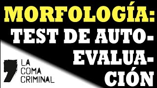 Morfología Test de autoevaluación para comprobar conocimientos de Lengua Castellana y Literatura [upl. by Arocat]