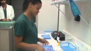 Counting Prescription Medication for Pharmacy Technicians [upl. by Santoro287]