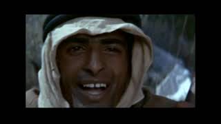 Filmes Ruins Árabes Malvados – Reel Bad Arabs [upl. by Anehsuc]