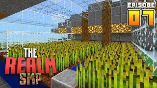 AUTOMATIC FARM RealmSMP Ep7 Survival Lets Play Minecraft [upl. by Sully]