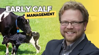 Dr Michael Steele Colostrum Feeding Strategies [upl. by Llamaj]