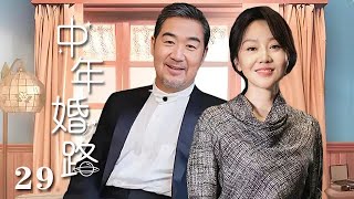 【精選電視劇】中年婚路 第29集：張國立、闫妮演繹中年婚姻的艱辛之路 [upl. by Ballou]