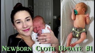 One Week Old Newborn Cloth Diapering Update 1 [upl. by Teena]