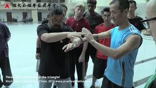 Three Dots in Push Hands  Dont move the triangle Master Chen Zhonghua [upl. by Oca]