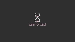 Primordial CS2 Semirage Ⅱ [upl. by Korney461]