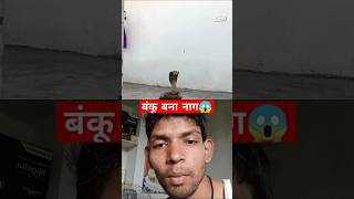 बंकू बना नाग 😱 vairalvideo shorts [upl. by Kellsie]