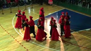 Baile Chamame Patagonico [upl. by Neelahtak]