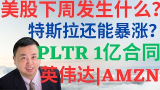 美股919美股下周发生什么特斯拉还能暴涨吗PLTR重大催化剂亚马逊秘密武器英伟达要止盈吗 pltr tsla nvda amzn 美股分析 drmikeinvest [upl. by Oigroeg]