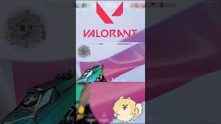 2vs4【VALORANT】Shorts [upl. by Wilonah219]