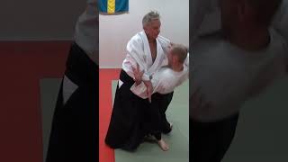 Aikido in slow motion TENCHI NAGE against some strike and grab attacks by Stefan Stenudd [upl. by Ralyt552]