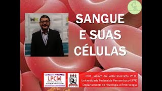 8Sangue e suas células histologia Nível graduação [upl. by Mullac]