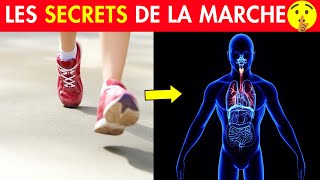 Les Bienfaits de la Marche à Pied sur le Corps 👉🏻 Que Vous Ignorez [upl. by Ennayt]