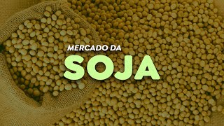 Demanda por soja na Ásia cresce e traz boas oportunidades ao produtor [upl. by Krefetz]