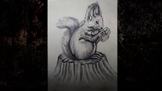 How to make squirrel in easy way  Pencil drawing  Easy pencil drawing for kids [upl. by Refinney]