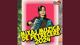 Colaj parodii muzicale 2024 [upl. by Eimmat519]