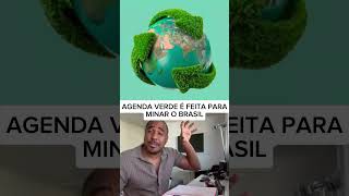 BRASIL CONTRA OS GLOBALISTAS VERDE raiamsantos geopolitica [upl. by Blas]