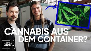 Cannabis anbauen auf 16 Quadratmetern  Einfach Genial [upl. by Rednazxela]