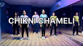 CHIKNI CHAMELI  Dance Cover  Naacho The Dance Studio [upl. by Ylen549]