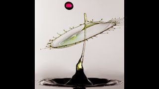 70 Liquid Sculptures in 3 minutes [upl. by Call]