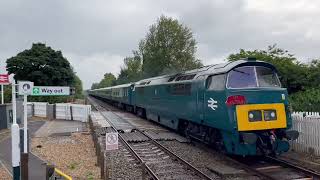 D1015 Western Champion on the Marston Vale Line [upl. by Calle]