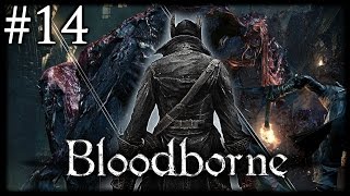 Zagrajmy w Bloodborne 14  Żądny krwi [upl. by Sosanna204]