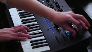 Ghostradioshow  Amberfield KORG minilogue xd [upl. by Lona827]