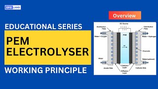 PEM Electrolyzers Explained A Deep Dive into Green Hydrogen Production [upl. by Birkle519]