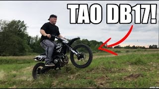 Jumping The 600 Tao Tao DB17 125 Dirt Bike [upl. by Tteragram]