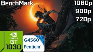 Shadow of the Tomb Raider PC GT 1030 2GB GDDR5 amp Intel Pentium G4560 amp 8GB RAM [upl. by Thant]