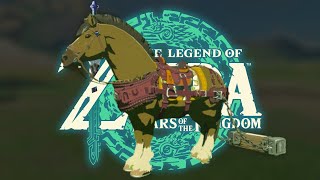 My Biggest Mistake The Legend of Zelda Tears of the Kingdom 85 [upl. by Atiuqrahs]