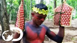 The SateréMawé Tribe Subject Themselves To Over 120 Bullet Ant Stings  Wildest Latin America [upl. by Tenay837]