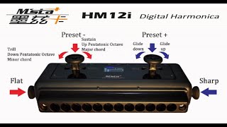 HM12  CHINESE MIDI HARMONICA  Demo and Review by Brendan Power [upl. by Olmstead]