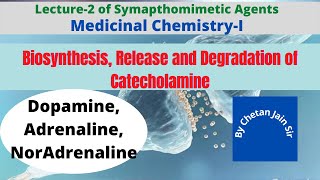 Catecholamine Biosynthesis Release and Metabolism or Catabolism of Adrenaline Noradrenaline [upl. by Anidam]