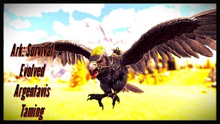 Complete Argentavis Taming Guide  Fly High in Ark Survival Evolved [upl. by Ramirolg371]