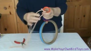 Make Your Own Bird Toys Quick and Easy Swing [upl. by Napier]