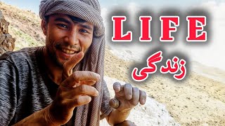 داستان آموزنده زندگی  important story of life [upl. by Blayne66]