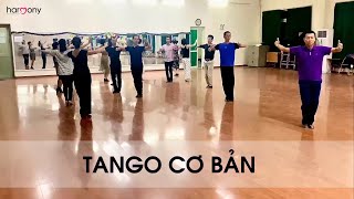 Học khiêu vũ Tango cơ bản [upl. by Peonir]