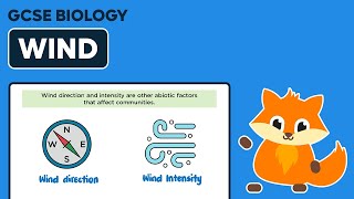 Abiotic Factors Wind  GCSE Biology [upl. by Debera]