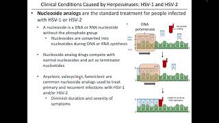 Virology Chapter 13 Part 1 [upl. by Alek511]