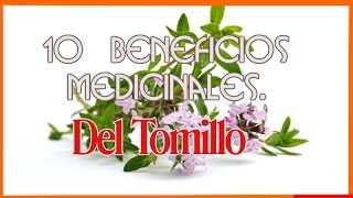 10 Beneficios Medicinales Del Tomillo [upl. by Alejna85]