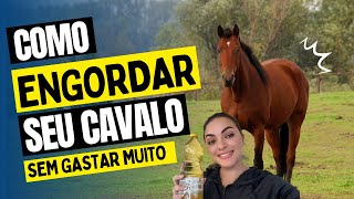 COMO ENGORDAR SEU CAVALO RÁPIDO E SEM GASTAR MUITO [upl. by Soren388]