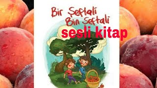 quotBİR ŞEFTALİ BİN ŞEFTALİquot SAMED BEHRENGİ SESLİ KİTAP TEK PARÇA [upl. by Abagael978]