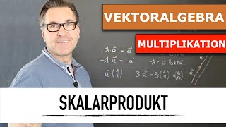 Wie multipliziere ich einen Vektor mit einen Skalar Skalarmultiplikation Vektor  Skalarprodukt [upl. by Htebazila]