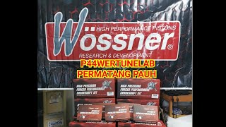 Wossner Crankshaft Review [upl. by Xirdnek196]