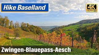 Hike from Zwingen to Aesch via Blauepass Baselland Switzerland [upl. by Siouxie]