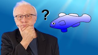 Rätsel des UNIVERSUMS Was weiß ein FISCH über das Wasser  Astrophysik amp Kosmologie 27 [upl. by Occer]