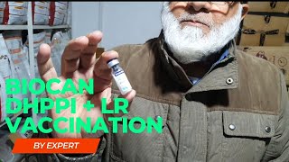 Biocan DHPPi  Biocan LR  Bestest Vaccination  for Every kind of Dog Breed [upl. by Ailati]