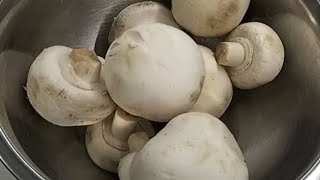 White Button Mushrooms recipe [upl. by Spurgeon290]