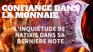 Confiance dans la monnaie linquiétude de Natixis [upl. by Burlie]